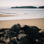 Godfrey Cartwright Profile Picture