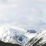 Idell Dare Profile Picture