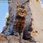 Yadira Kub Profile Picture