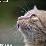 Gillian Hayes Profile Picture