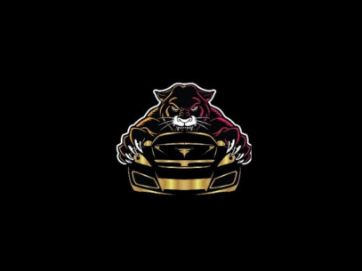 Detailing Panthers Profile Picture