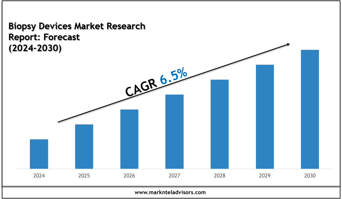 Biopsy Devices Market Trends, Insights & Forecast Data 2030 – Site Title