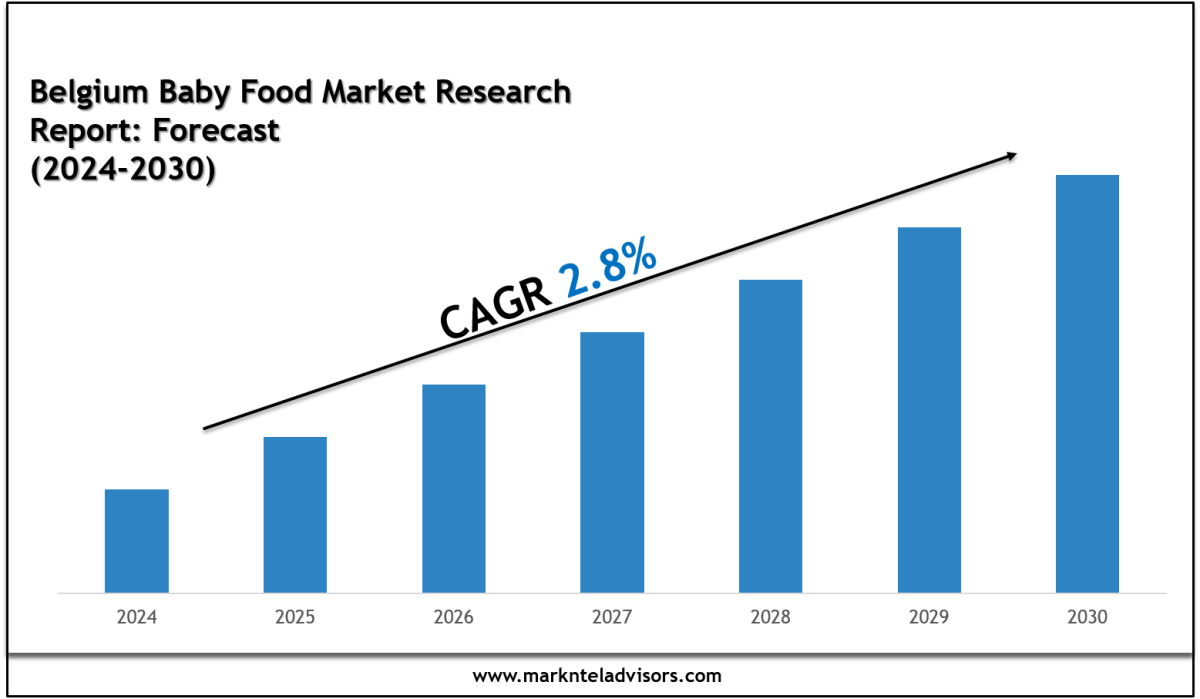 Belgium Baby Food Market Share & Future Projections 2030 – Site Title