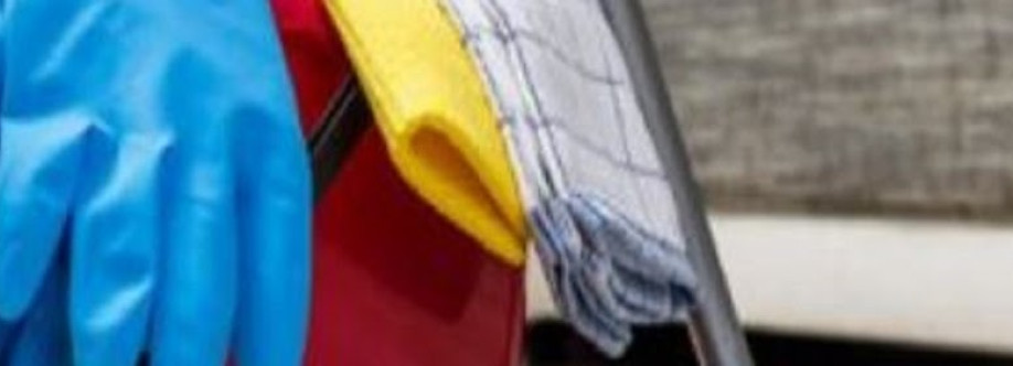 Bee Dazzled Cleaning Service Cover Image