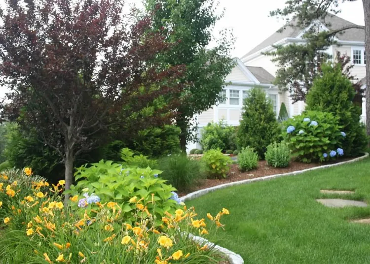 5 Reasons Cape Cod Homeowners Trust Professional Lawn Maintenance Services - Ranksmagzine
